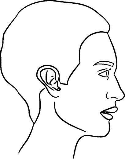 Line drawing of Right Profile (subject is facing observer's right) - Lips Relaxed, Centric Relation