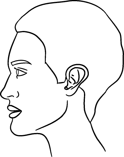 Line drawing of Left Profile (subject is facing observer's left) - Lips Relaxed, Centric Occlusion