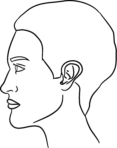 Line drawing of Left Profile (subject is facing observer's left) - Lips Closed, Centric Occlusion