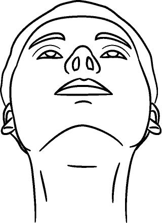 Line drawing of Other Face (head tipped back) - Inferior View (showing lower border of mandible, nares, infraorbital rim contours, forehead contours)