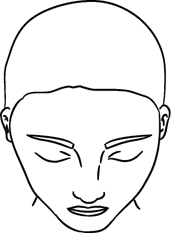 Line drawing of Other Face (viewed from a bove) - Superior View (showing forehead, infraorbital rim contour, dorsum of nose, upper lip, chin)