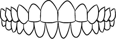 Line drawing of Intraoral Frontal View - Centric Occlusion, Without Mirror