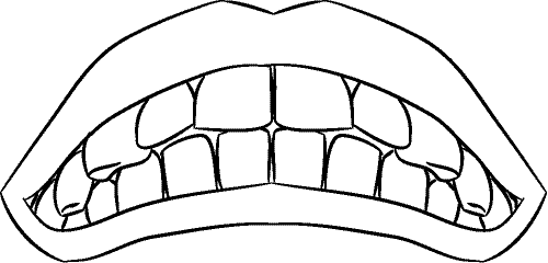 Line drawing of Intraoral Frontal View Inferior (showing depth of bite and overjet) - Centric Occlusion, Without Mirror