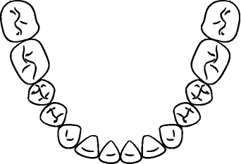 Line drawing of Intraoral Mandibular Occlusal View - Mouth Open, With Mirror But Corrected